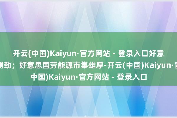 开云(中国)Kaiyun·官方网站 - 登录入口好意思国经济发达止境刚劲；好意思国劳能源市集雄厚-开云(中国)Kaiyun·官方网站 - 登录入口