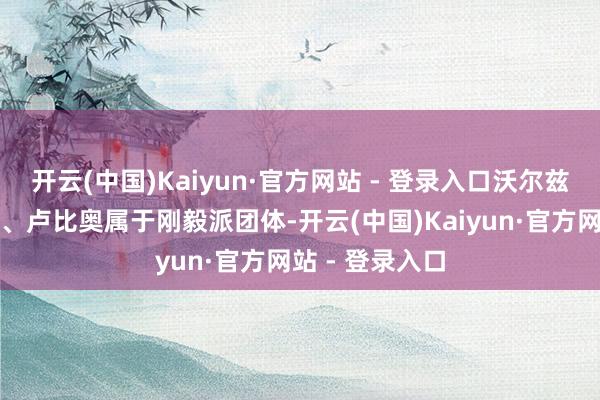 开云(中国)Kaiyun·官方网站 - 登录入口沃尔兹、斯蒂芬尼克、卢比奥属于刚毅派团体-开云(中国)Kaiyun·官方网站 - 登录入口