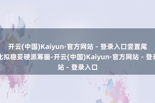 开云(中国)Kaiyun·官方网站 - 登录入口竖置尾灯组比拟稳妥硬派筹画-开云(中国)Kaiyun·官方网站 - 登录入口