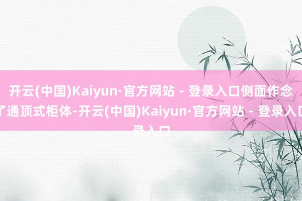 开云(中国)Kaiyun·官方网站 - 登录入口侧面作念了通顶式柜体-开云(中国)Kaiyun·官方网站 - 登录入口