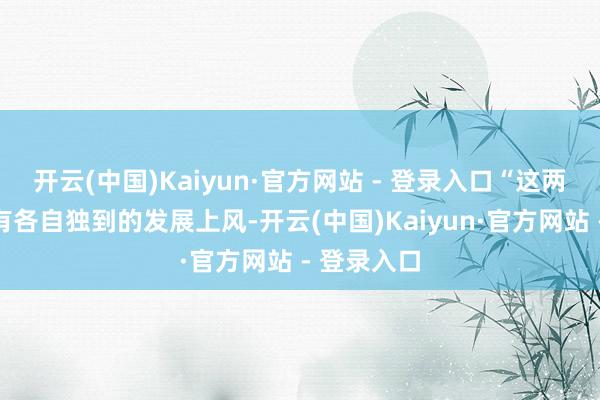 开云(中国)Kaiyun·官方网站 - 登录入口“这两个区王人有各自独到的发展上风-开云(中国)Kaiyun·官方网站 - 登录入口