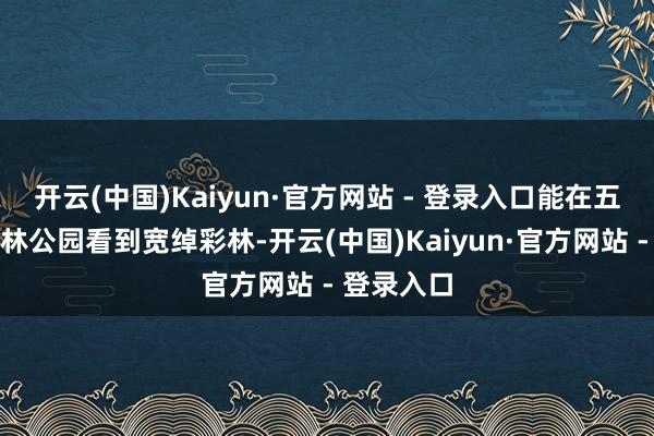 开云(中国)Kaiyun·官方网站 - 登录入口能在五营国度丛林公园看到宽绰彩林-开云(中国)Kaiyun·官方网站 - 登录入口