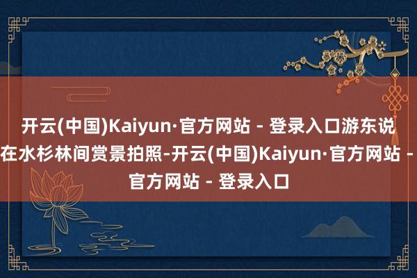 开云(中国)Kaiyun·官方网站 - 登录入口游东说念主行走在水杉林间赏景拍照-开云(中国)Kaiyun·官方网站 - 登录入口