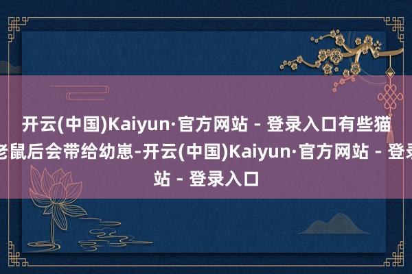 开云(中国)Kaiyun·官方网站 - 登录入口有些猫收拢老鼠后会带给幼崽-开云(中国)Kaiyun·官方网站 - 登录入口
