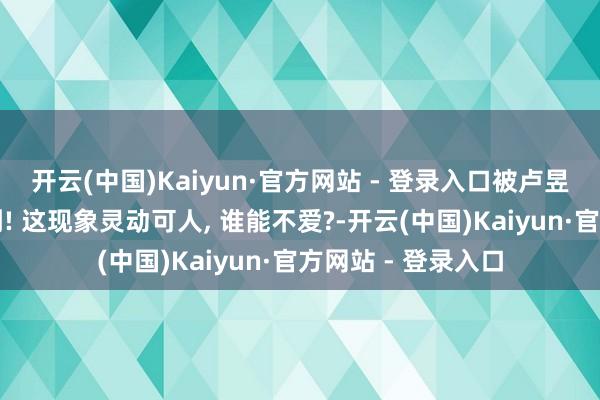 开云(中国)Kaiyun·官方网站 - 登录入口被卢昱晓糟蹋感好意思到! 这现象灵动可人, 谁能不爱?-开云(中国)Kaiyun·官方网站 - 登录入口