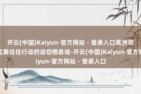 开云(中国)Kaiyun·官方网站 - 登录入口葛洲坝下水域已成为江豚往往行动的迫切栖息地-开云(中国)Kaiyun·官方网站 - 登录入口