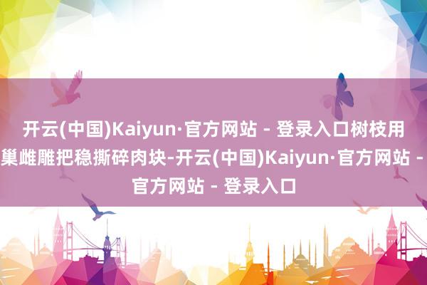 开云(中国)Kaiyun·官方网站 - 登录入口树枝用来加固窠巢雌雕把稳撕碎肉块-开云(中国)Kaiyun·官方网站 - 登录入口